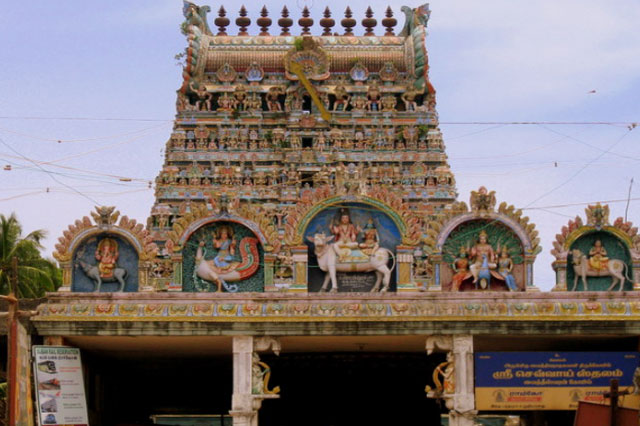 Navagraha Package